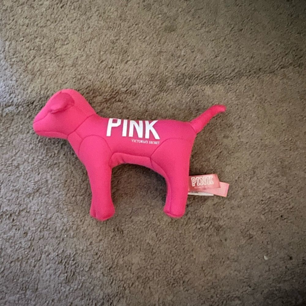 Vs‎ pink rare dog